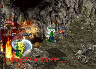 如何快速提升等级并获取宝宝? 如何快速提升等级并获取宝宝?