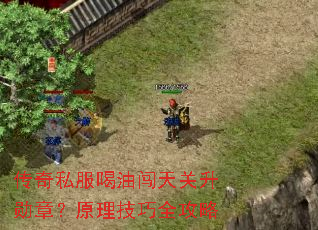 传奇私服喝油闯天关升勋章?原理技巧全攻略 传奇私服喝油闯天关升勋章?原理技巧全攻略