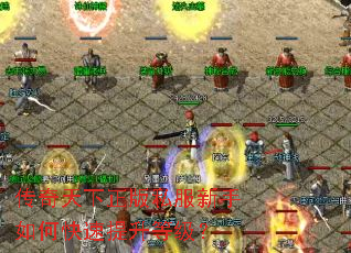 传奇天下正版私服新手如何快速提升等级? 传奇天下正版私服新手如何快速提升等级?