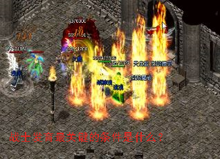 战士发育最关键的条件是什么? 战士发育最关键的条件是什么?