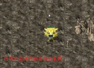 传奇SF复活药到底有多重要? 传奇SF复活药到底有多重要?