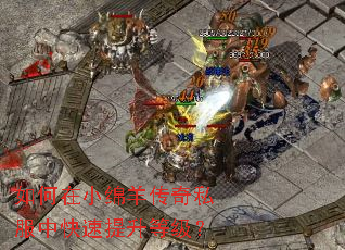 如何在小绵羊传奇私服中快速提升等级? 如何在小绵羊传奇私服中快速提升等级?