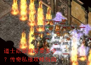 道士勋章编号是多少?传奇私服攻略指南 道士勋章编号是多少?传奇私服攻略指南