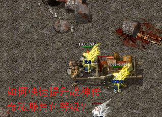 如何快速提升战神传奇私服角色等级? 如何快速提升战神传奇私服角色等级?