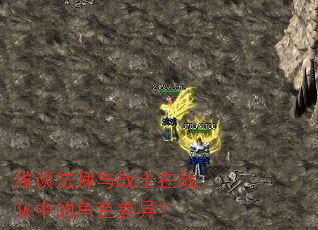 浅谈法师与战士在战队中的角色差异? 浅谈法师与战士在战队中的角色差异?