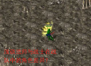 浅谈法师与战士在战队中的角色差异? 浅谈法师与战士在战队中的角色差异?