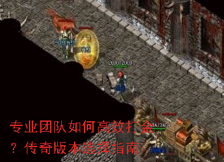 רҵ�Ŷ���θ�Ч��𣿴���汾ѡ��ָ��