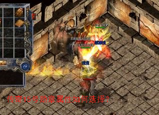 ����15��ѫ���������ѡ��