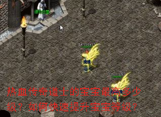 热血传奇道士的宝宝最高多少级?如何快速提升宝宝等级? 热血传奇道士的宝宝最高多少级?如何快速提升宝宝等级?