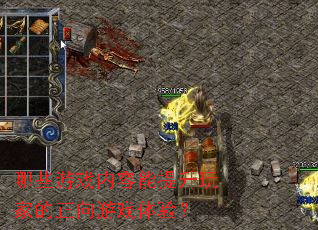 ��Щ��Ϸ������������ҵ�������Ϸ���飿