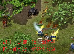 战士、法师、道士如何搭配技能?战斗经验全分享 战士、法师、道士如何搭配技能?战斗经验全分享