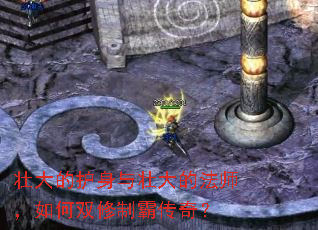 ׳��Ļ�����׳��ķ�ʦ�����˫���ưԴ��棿