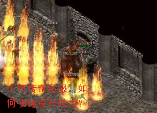 ʮ�괫��˽������ο�������ս����