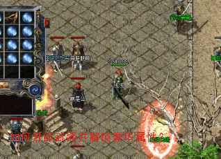 ������������������������ԣ�