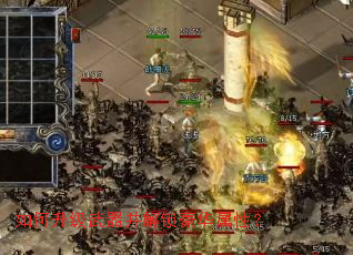 ������������������������ԣ�