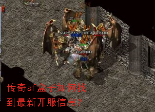 ����sf��������ҵ����¿�����Ϣ��