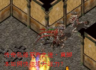 ����˽������֮�ԡ���ű���ο�������ս����