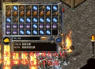 ʥ��ʿ����˽����ô�棿���ֿ�������ָ��