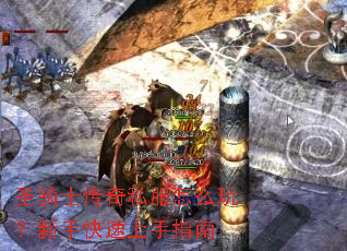 ʥ��ʿ����˽����ô�棿���ֿ�������ָ��