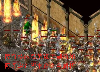 ����˽��˫Ӣ������������������ű�����ȫ����