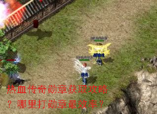 ��Ѫ����ѫ�»�ȡ���ԣ������ѫ����Ч�ʣ�