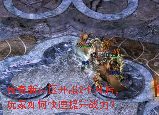 �����°�������2���º������ο�������ս����