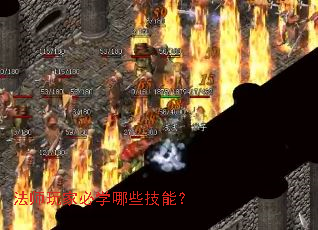 ��ʦ��ұ�ѧ��Щ���ܣ�