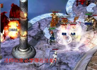 ��ʦ��ұ�ѧ��Щ���ܣ�