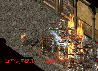 ��ο����������յ�ս������