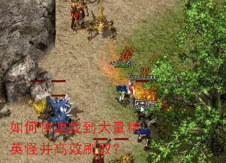 ��ο����ҵ�������Ӣ�ֲ���Чˢȡ��