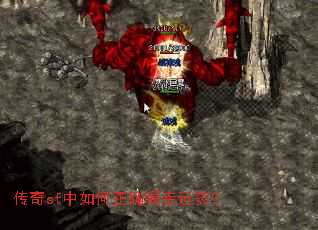 ����sf�������ȷ������ҩ��