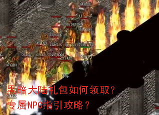 �ڰ���½��������ȡ��ר��NPCָ�����ԣ�