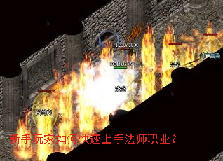 ���������ο������ַ�ʦְҵ��