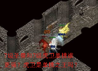 7��ʥ�޺�7����������˭��ǿ�������ǵ���֮����