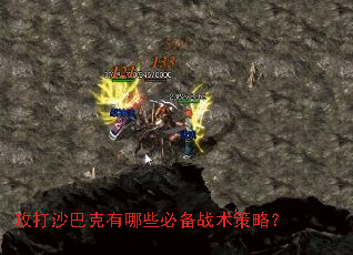 ����ɳ�Ϳ�����Щ�ر�ս�����ԣ�