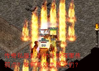 ����˽�����ִ��������Щ���㣿��θ�Ч�������ǣ�