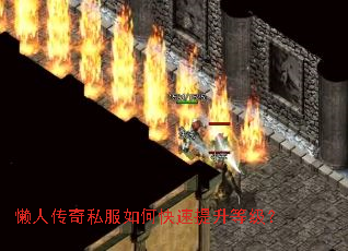 ���˴���˽����ο��������ȼ���