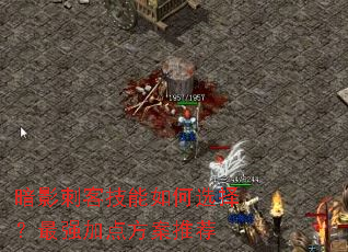 暗影刺客技能如何选择?最强加点方案推荐 暗影刺客技能如何选择?最强加点方案推荐