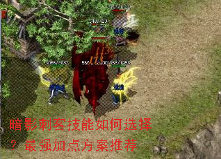 暗影刺客技能如何选择?最强加点方案推荐 暗影刺客技能如何选择?最强加点方案推荐