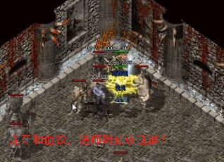 龙牙和血饮,法师到底该选谁? 龙牙和血饮,法师到底该选谁?