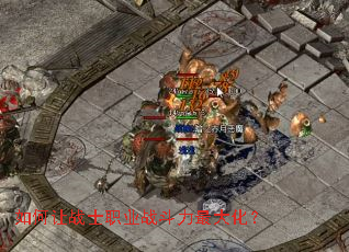 �����սʿְҵս������󻯣�