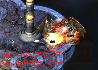 ��ʿ���������Ϊ�λ��ѱ䲢��������������