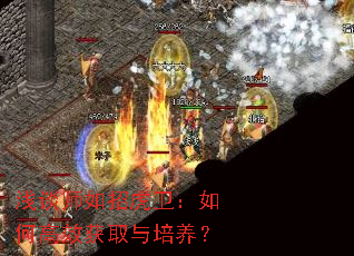 ǳ̸ʦ���л�������θ�Ч��ȡ��������