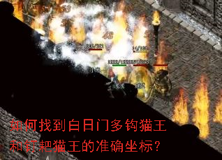 ����ҵ������Ŷ๳è���Ͷ���è����׼ȷ���ꣿ