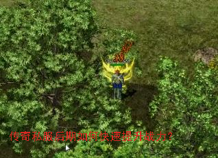 ����˽��������ο�������ս����