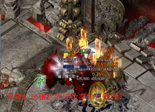 ����1.76�������ɹ������������