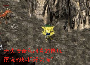 ��ʧ����˽����������˵������������