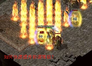 ��ο���������ν�ȼ���