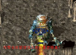 ����ֿ����Ա����λ�������