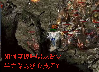 ������պ�Х���ձ���֮·�ĺ��ļ��ɣ�